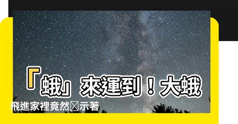 蛾飛進家裡|【防治項目 